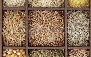 exportateur d'agro alimentaire